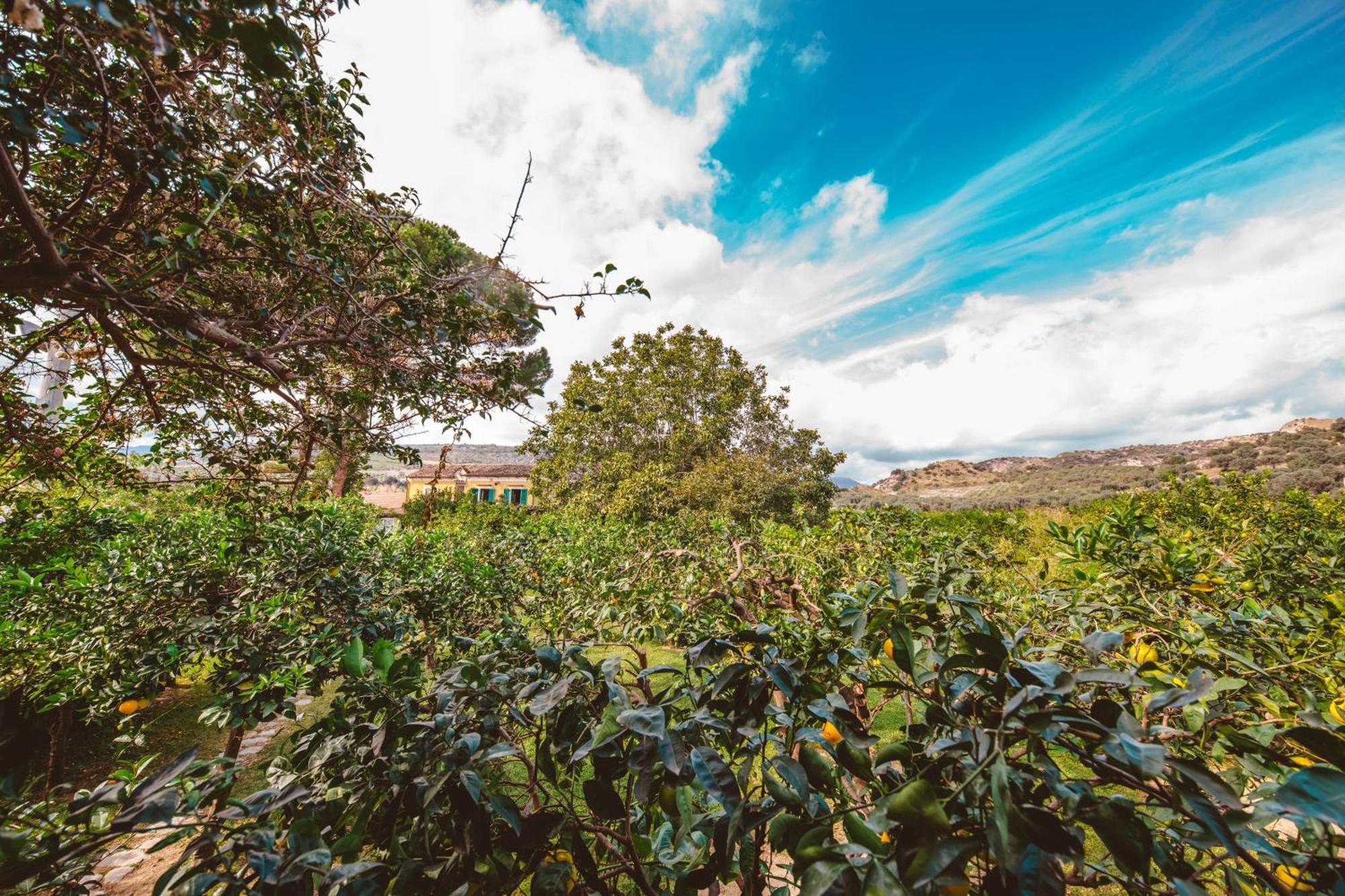 Agriturismo Villa Vittoria Guardavalle Exteriér fotografie